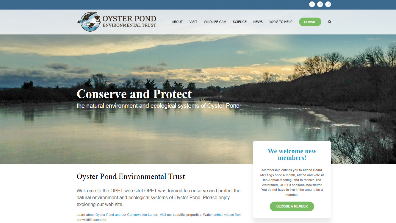 Portfolio Opet website design